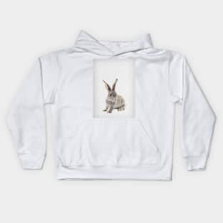 Rabbit 26 Kids Hoodie